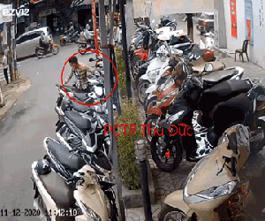 Thanh niên bẻ khóa SH rồi nhanh chóng 'bốc hơi', camera bóc chi tiết bảo vệ bị mắc mưu