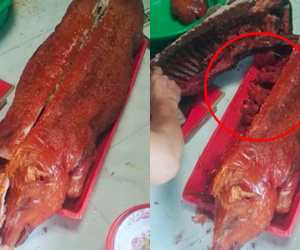Hoảng hồn với clip mua thịt quay trúng ngay heo mẹ đang có chửa, nhìn kĩ mới phát hiện hóa ra chỉ là cú lừa