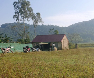Nghi án bố chồng tự tử sau khi đánh con dâu và cháu nhập viện