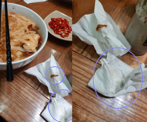Nghe 'tiếng lành' đồn xa mò sang tận Lạc Trung ăn phở sốt vang, nữ sinh hoảng hồn khi nhặt được cả búi lông lạ trong bát
