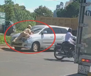 Đắk Lắk: CSGT đang làm nhiệm vụ, bị hất lên nắp capo
