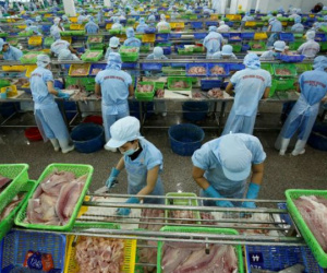 IMF: Tăng trưởng GDP Việt Nam 2020 thuộc nhóm cao nhất thế giới