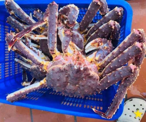 Rẻ khó tin: Đùi gà 30 nghìn/kg, chân giò heo 50 nghìn/kg
