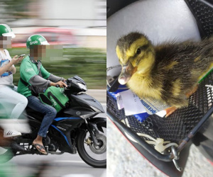 Phát hiện vật thể lạ, tài xế Grab xin lỗi khách rồi quay xe chạy ngược chiều, cái kết khiến cô gái thích thú