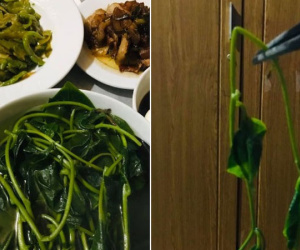 Vợ đi làm chồng ở nhà nấu cơm, nói là có món 'mồng tơi dễ gắp' nhưng ai ngờ khi lên mâm cô vợ lại suýt ngất vì hình thù kỳ lạ của món ăn