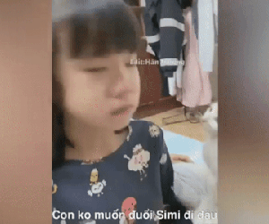 Chú mèo nghịch ngợm nên bị phụ huynh tống cổ, cô bé khóc lóc thảm thiết xin giữ nhưng hành động 'côn đồ' của mèo ta khiến ai cũng phì cười