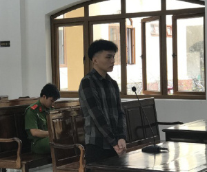 Ảnh minh họa