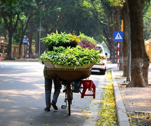 Hà Nội xuống 15 độ C, miền Bắc chìm trong giá rét