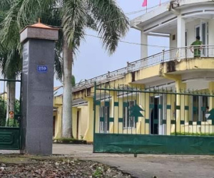 Đắk Lắk: Bắt giám đốc công ty lâm nghiệp để mất rừng