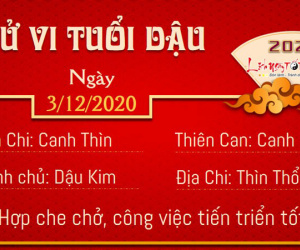 Tử vi thứ 5 ngày 03/12/2020 của 12 con giáp: Dậu thiếu tiền, Thân thăng tiến