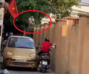 Ngán ngẩm với màn 'thi gan' trong ngõ nhỏ của ô tô và xe máy, khán đài của 'team hóng hớt' khiến dân tình cười té ghế