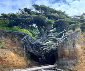 Những bức hình thiên nhiên thú vị và hiếm có tới nỗi xem xong còn chẳng hiểu là thật hay Photoshop