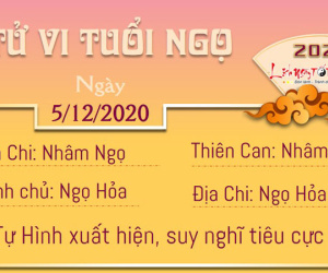 Tử vi thứ 7 ngày 05/12/2020 của 12 con giáp: Tị tài lộc sáng sủa, Tý gặp thị phi