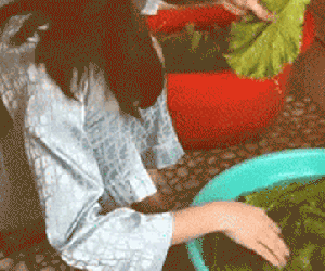 Hoảng hồn khi thấy vợ sắp cưới dùng bàn chải rửa rau, chàng trai hoang mang suy nghĩ về tương lai mờ mịt