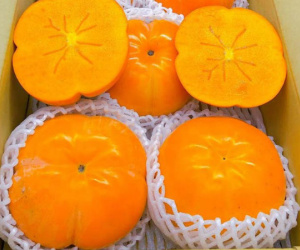 Hồng Nhật khổng lồ thơm mùi sữa, 1 triệu đồng/quả vẫn 'cháy hàng'