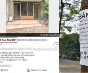 Thanh niên rao bán nhà vô cùng thật thà, nguyên nhân đến từ một chi tiết khiến dân mạng vừa rợn tóc gáy vừa buồn cười