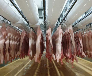 Phát hiện virus SARS-CoV-2 trên bao bì thực phẩm đông lạnh, Hà Nội yêu cầu siết chặt khâu kiểm soát