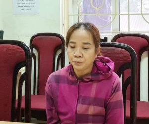 Khởi tố 'nữ quái' vận chuyển 20 bánh ma tuý trong túi xách