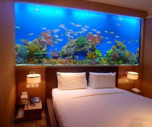 3 đồ vật phong thủy để trấn dương khí, nhà ở trên 30 năm nhất định không thể thiếu