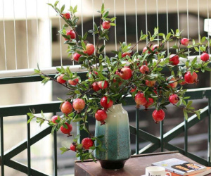 Cành lựu 3 màu phong thủy, chị em bỏ tiền triệu mua trưng Tết