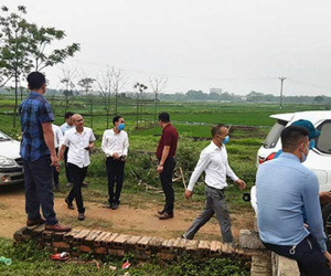 Đất ngoại thành Hà Nội tăng giá, đầu cơ có 'trúng đậm'?