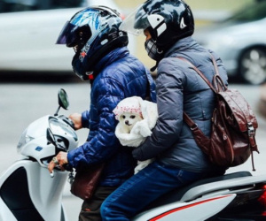 Miền Bắc sắp đón đợt rét đậm rét hại mạnh nhất từ đầu mùa, Hà Nội lạnh buốt chỉ 11 độ C