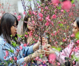 Cập nhật: Lịch nghỉ tết Nguyên đán Tân Sửu 2021 của các trường đại học, có trường nghỉ gần 1 tháng