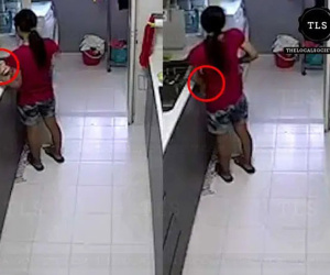 Mang thù vì bị mắng, nữ giúp việc chuẩn bị 'bữa sáng kinh dị' khiến chủ nhà 'sốc tận óc' khi check camera