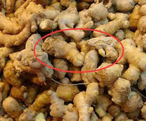 Người đàn ông tử vong vì ung thư gan, bác sĩ chỉ ra thói quen ăn gừng nên tránh xa