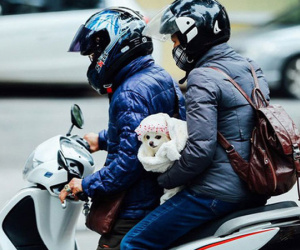 Miền Bắc rét đậm, rét hại, nền nhiệt Hà Nội giảm sâu, thấp nhất 11 độ C