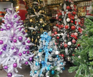Sát Giáng sinh, cửa hàng ồ ạt đại hạ giá cây thông Noel xuống 50.000 đồng vì đói khách