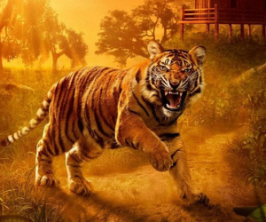 3 con giáp may mắn hết phần thiên hạ, tha hồ tận hưởng cuộc sống giàu sang trong 2 tuần tới