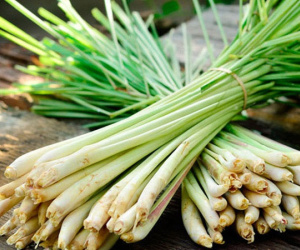 9 bài thuốc trị đau bụng do nhiễm lạnh