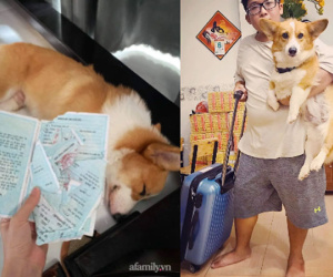 Chàng trai Sài Gòn suýt bị mẹ đuổi ra khỏi nhà vì chiều boss quá đà để đến mức sổ hộ khẩu cũng 'tan tành' trong 3 nốt nhạc