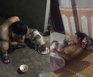 Phản đối kịch liệt vì vợ mang chó hoang về nuôi, cú 'tự vả' sau 2 tháng khiến dân tình cười ngã ngửa