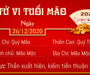 Tử vi thứ 7 ngày 26/12/2020 của 12 con giáp: Hợi mất lộc, Mão may mắn