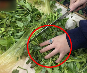 Lần đầu về ra mắt, cô gái hăng hái vào bếp nhưng vừa động vào bó rau đã bị mẹ người yêu hét lên đuổi về