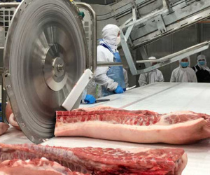 Giá thịt heo Tết sẽ tăng?