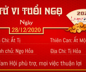 Tử vi thứ 2 ngày 28/12/2020 của 12 con giáp: Sửu phát tài, Hợi đừng tự mãn