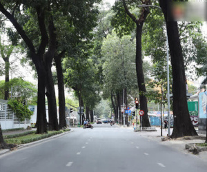 Chùm ảnh: Phố xá Sài Gòn vắng lặng và yên bình ngày đầu năm, nhiều phụ nữ diện áo dài tươi cười dạo phố