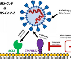 NÓNG: Phát hiện biến thể mới Virus-CoV-2 tại Việt Nam