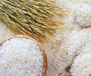 Giá gạo Việt Nam vượt đỉnh 9 năm, gạo Ấn Độ và Thái Lan vẫn cao nhất nhiều tháng