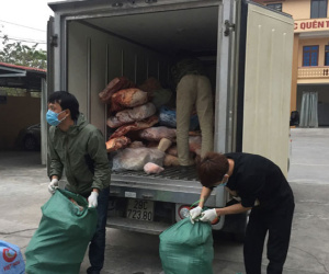 Lòng thối chảy nước, thịt bốc mùi... hàng tấn đồ bẩn lên bàn nhậu tất niên