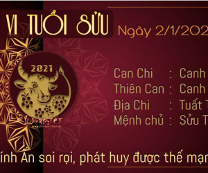 Ảnh minh họa