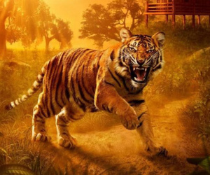 3 con giáp không nên 'dục tốc bất đạt', càng chậm rãi càng tìm được cơ hội vàng, tháng Chạp tới đây thần tài gõ cửa quý nhân lâm môn