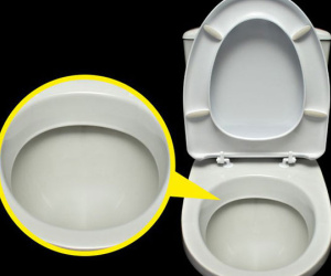 Tại sao bồn cầu toilet luôn có màu trắng dù nó rất dễ bẩn?