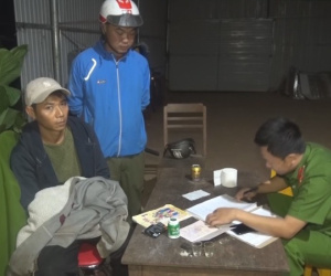 Tạm giữ hình sự người đàn ông trồng hàng ngàn cây cần sa để...cho gà ăn