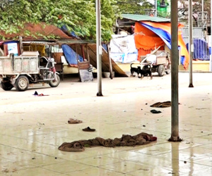 Video: Đầu tư hơn 21 tỷ, chợ dân sinh ở Hà Nội thành chỗ thả chó, đậu xe