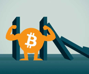 900 triệu/bitcoin: Đỉnh cao khó tin và nguy cơ đổ sụp