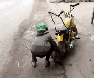 Anh em Tam Mao làm clip ngược đãi động vật khiến dân tình phẫn nộ, kêu gọi report